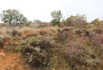 Terreno en  Tordellego, Guadalajara Provincia