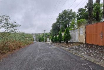Lote de Terreno en  Atongo De Arriba, Allende, Nuevo León, Mex