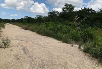 Lote de Terreno en  Pueblo Baca, Baca, Yucatán