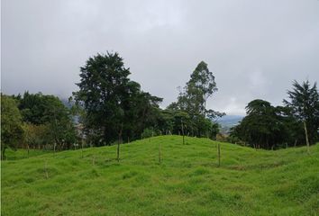 Lote de Terreno en  Calle 37, Camargo, Carmen De Viboral, Antioquia, Col