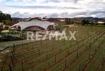 Local comercial en  Murgia, Ensenada