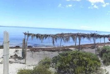 Lote de Terreno en  Calle 36, San Crisanto, Sinanché, Yucatán, 97424, Mex