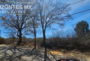 Lote de Terreno en  Sotobosque Pizza & Bbq, Santa Rosa De Lima, Guanajuato, 36220, Mex