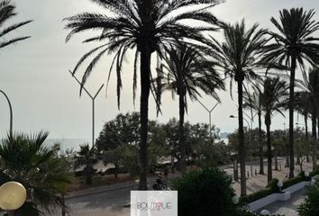 Estudio en  Llevant, Palma De Mallorca