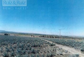 Lote de Terreno en  Romita Centro, Romita, Guanajuato