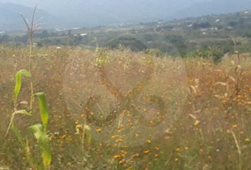 Lote de Terreno en  Malinalco, Estado De México