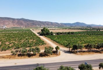 Lote de Terreno en  Rancho Los Olivares, Francisco Zarco, Ensenada, Baja California, 22750, Mex