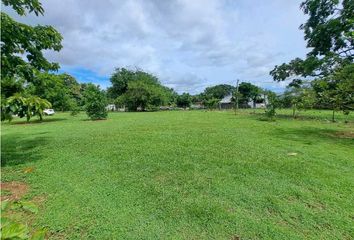 Lotes y Terrenos en  Calle Tomás Armuelles, David, Chiriquí, Pan