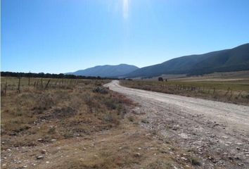 Lote de Terreno en  Calle Jazmines 470, El Castillo, Galeana, Nuevo León, 67867, Mex