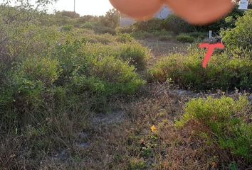 Lote de Terreno en  Holostel, Progreso, Chicxulub, Progreso, Yucatán, Mex