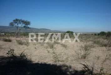 Local comercial en  Apaseo El Alto Centro, Apaseo El Alto