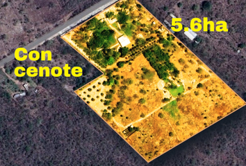 Quinta en  Carretera Tixkokob-baca, Baca, Yucatán, 97450, Mex