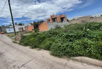 Lote de Terreno en  Papelería Neri, Yerbabuena, Guanajuato, Mex