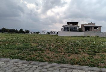Lote de Terreno en  Calle Independencia, San Miguel Totocuitlapilco, Metepec, México, 52143, Mex