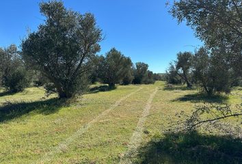 Lote de Terreno en  Rancho Osho Gran Kuxtal, Ejido El Porvenir, Ensenada, Baja California, Mex
