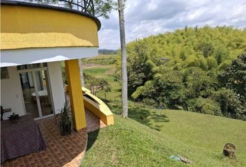 House for rent in Centro, Pereira