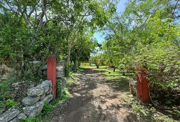 Quinta en  Carretera Mérida - Hunucmá - Celestún, Kinchil, Yucatán, 97360, Mex