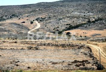 Lote de Terreno en  Lomas Del Sauzal, Ensenada