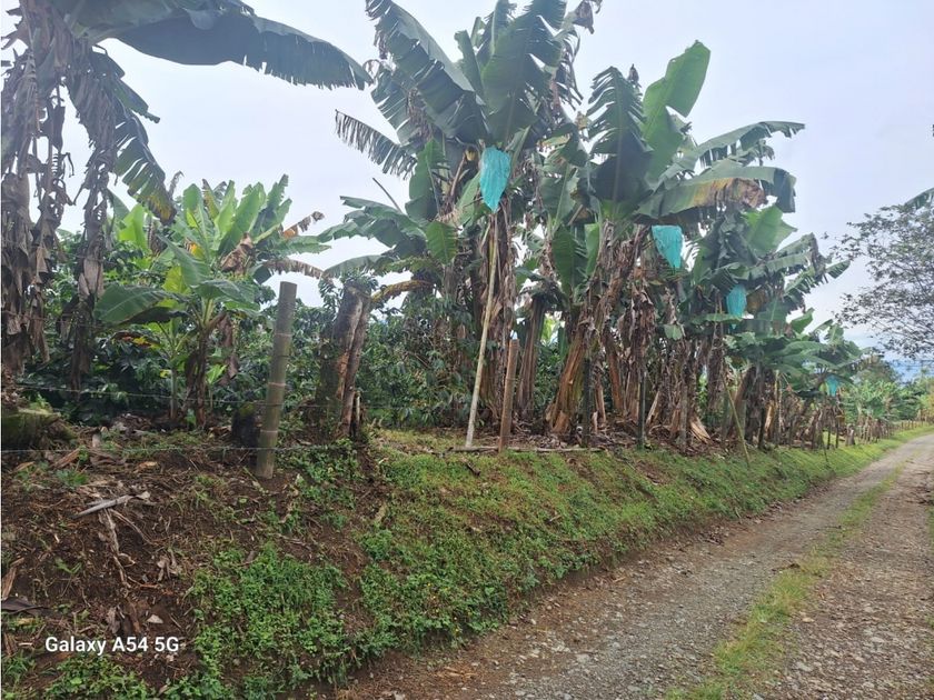 Villa-Quinta en venta Quimbaya, Quindío