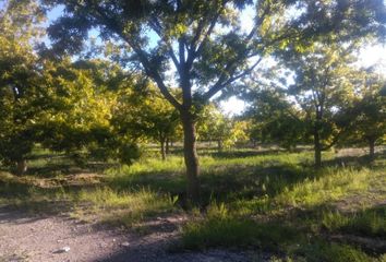 Rancho en  Barrio Del Sombreretillo, Parras