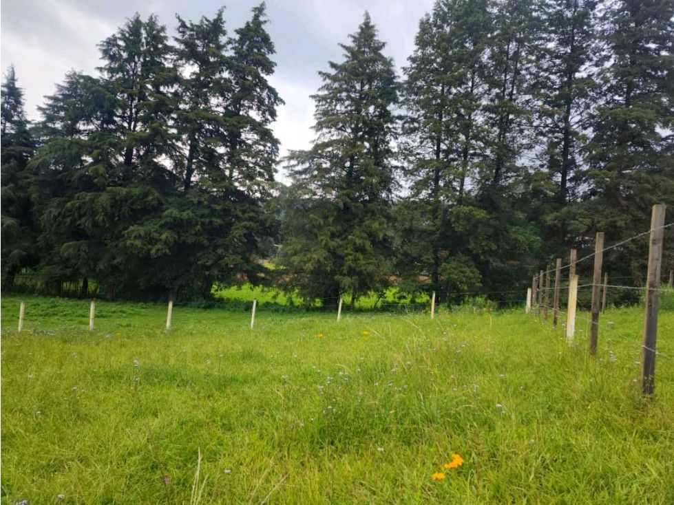 venta Lote de Terreno en Texcaltitlán, Estado De México (8211583 ...