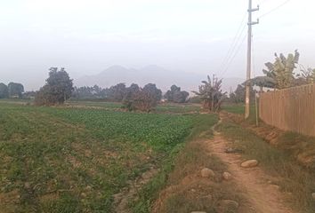 Terreno en  Carabayllo, Lima