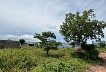 Lote de Terreno en  Alcoyonqui, Sinaloa