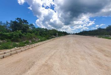 Lote de Terreno en  Palula Beach Camping, X 25 33, San Crisanto, Sinanché, Yucatán, 97424, Mex