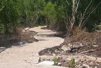 Lote de Terreno en  Palula Beach Camping, X 25 33, San Crisanto, Sinanché, Yucatán, 97424, Mex