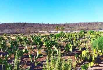 Lote de Terreno en  Navojoa 1, Comondú