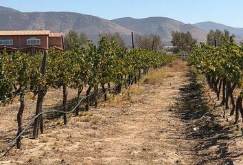 Lote de Terreno en  Rancho Los Olivares, Francisco Zarco, Ensenada, Baja California, 22750, Mex