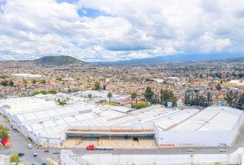 Local comercial en  Paseo Del Tepozán, Valle De Los Pinos, Los Reyes Acaquilpan, La Paz, México, 56420, Mex