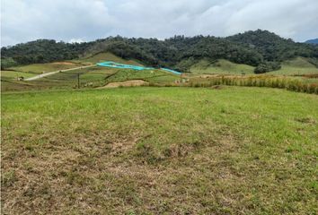 Lote de Terreno en  La Ceja, Antioquia