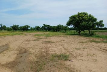 Lote de Terreno en  Cereté, Córdoba