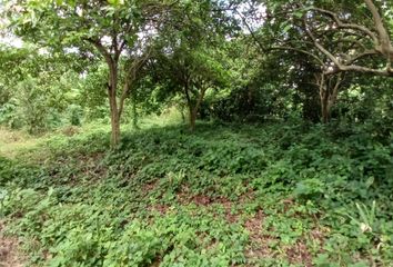 Lote de Terreno en  El Centro, Cartagena De Indias