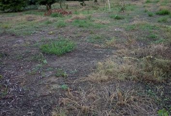 Lote de Terreno en  Tacasuan, Montería