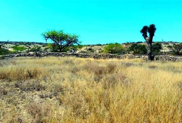 Lote de Terreno en  Armadillo De Los Infante, Estado San Luis Potosí