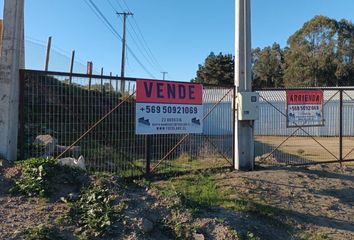 Bodega en  San Antonio, San Antonio