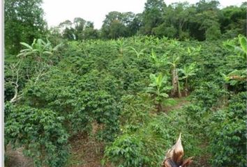 Rancho en  Ing. Rivadeneyra, Xalapa