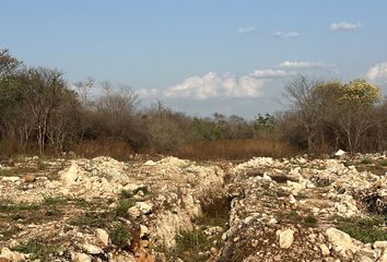 Lote de Terreno en  97315, Santa Cruz Palomeque, Yucatán, Mex