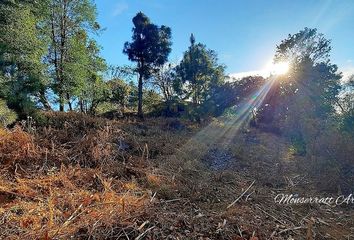 Lote de Terreno en  51208, El Arco, México, Mex