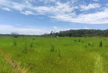 Rancho en  Becanchen, Tekax, Yucatán, Mex