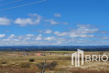 Lote de Terreno en  Carretera El Pino-palos Colorados, Durango, 34383, Mex