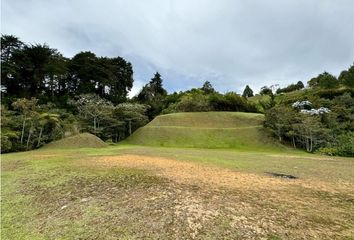 Lote de Terreno en  Rionegro Antioquía