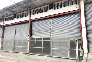 Bodega/Galera en  Barrio Sur, Colón Distrito