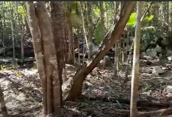 Lote de Terreno en  Tulum, Tulum