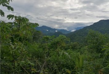 Lote de Terreno en  Parque Tayrona, Santa Marta