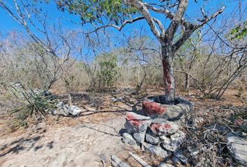 Lote de Terreno en  97334, San Ignacio, Yucatán, Mex