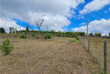 Lote de Terreno en  Guarne, Antioquia