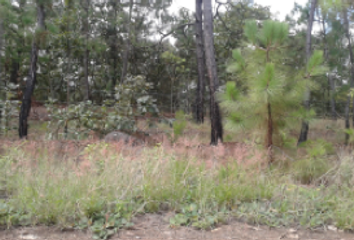 Lote de Terreno en  Chiquilistlán, Jalisco